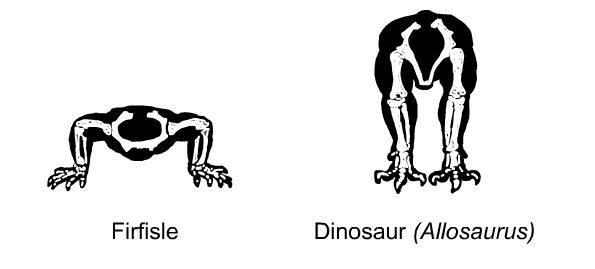 Obligatorisk